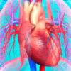 Conocimiento-Actualizado-de-Enfermedades-Cardiovasculares-H20