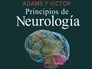 principios de neurologia